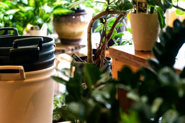 GARDEN ＆ CAFE ROSY