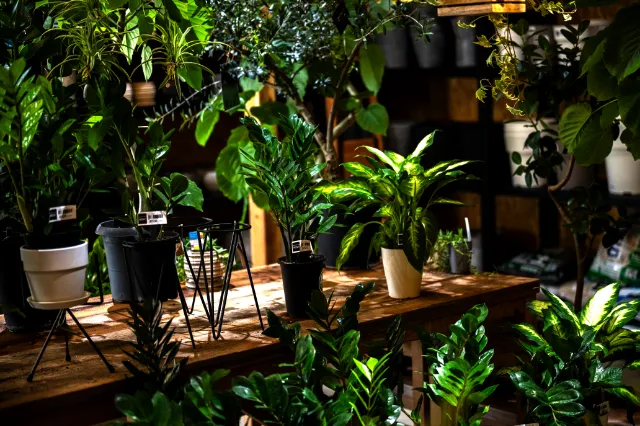 GARDEN ＆ CAFE ROSY