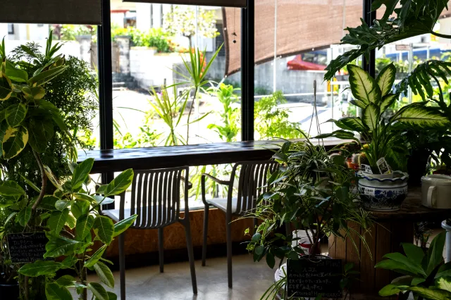 GARDEN ＆ CAFE ROSY